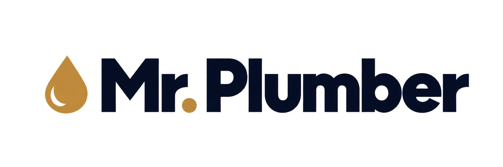 Mr. Plumber